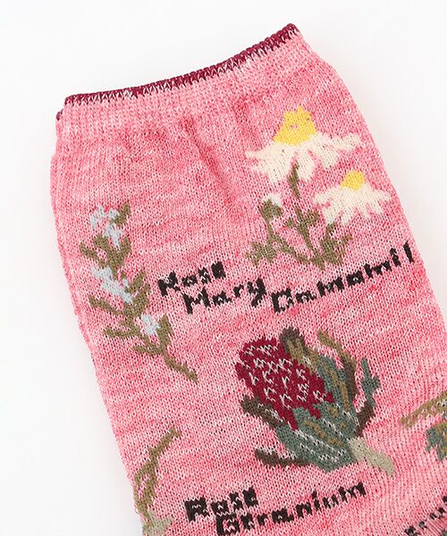 TAKASHIMAYA OUTLET / タカシマヤ アウトレット ソックス | アンティパスト　ソックス | 詳細1