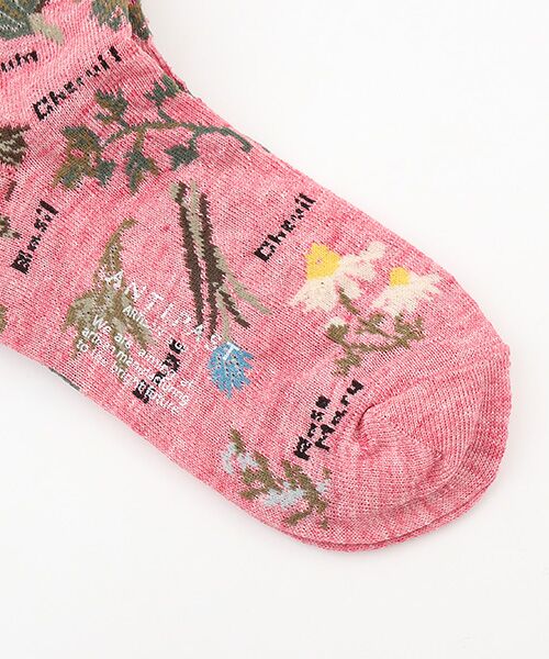 TAKASHIMAYA OUTLET / タカシマヤ アウトレット ソックス | アンティパスト　ソックス | 詳細2