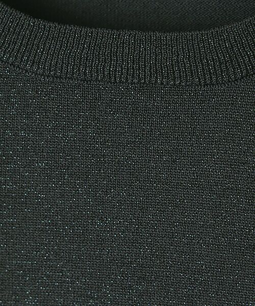 TAKASHIMAYA OUTLET / タカシマヤ アウトレット ニット・セーター | シーズンスタイルラボ　ラメプレーティングプルオーバー | 詳細5