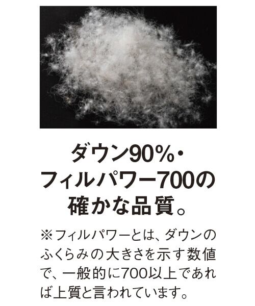 TAKASHIMAYA Style Plus / タカシマヤ スタイル・プリュ ベスト | ダウンベスト | 詳細2