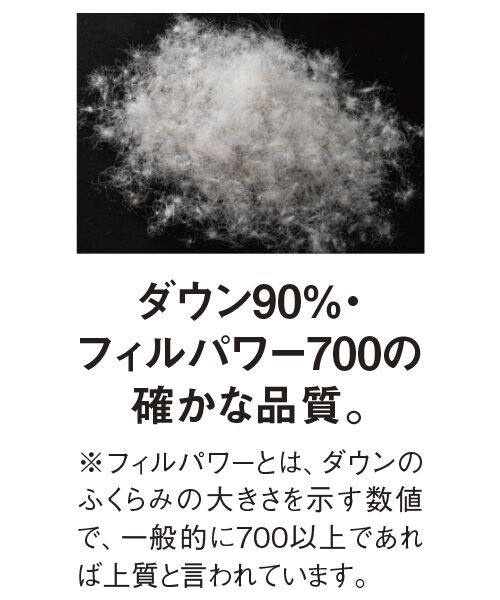 TAKASHIMAYA Style Plus / タカシマヤ スタイル・プリュ ダウンジャケット・ベスト | リブ二重襟ダウンジャケット | 詳細2