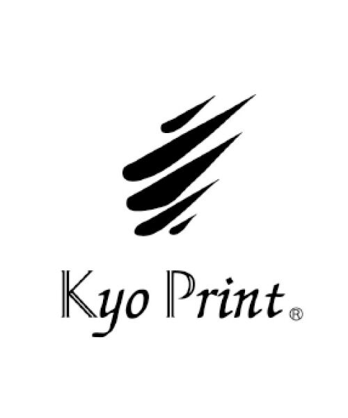 TAKASHIMAYA Style Plus / タカシマヤ スタイル・プリュ カットソー | 洗えるウールガーゼ プリントプルオーバー | 詳細3