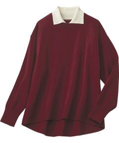 TAKASHIMAYA Style Plus / タカシマヤ スタイル・プリュ ニット・セーター | シャツレイヤード風プルオーバー