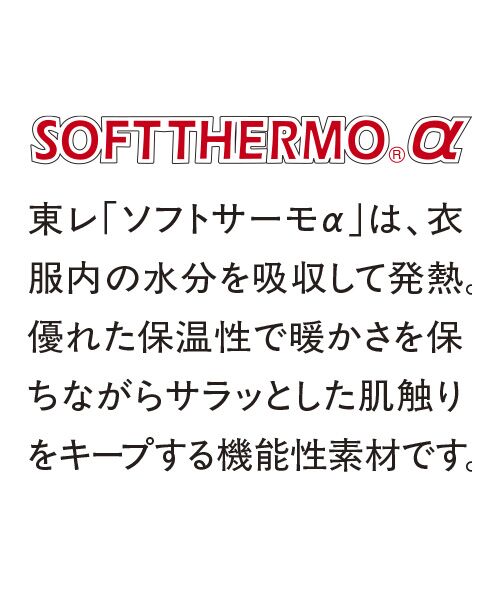 TAKASHIMAYA Style Plus / タカシマヤ スタイル・プリュ カットソー | ソフトサーモα デザインプルオーバー | 詳細1