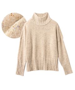 TAKASHIMAYA Style Plus / タカシマヤ スタイル・プリュ ニット・セーター | カラーネッププルオーバー