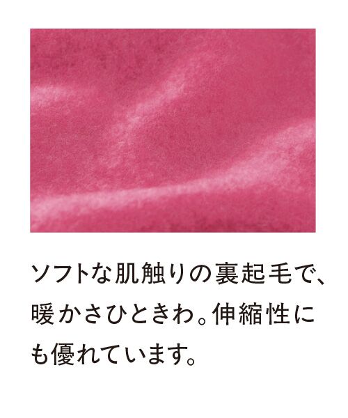 TAKASHIMAYA Style Plus / タカシマヤ スタイル・プリュ カットソー | サーモギア 裏起毛ボトルネックプルオーバー | 詳細2