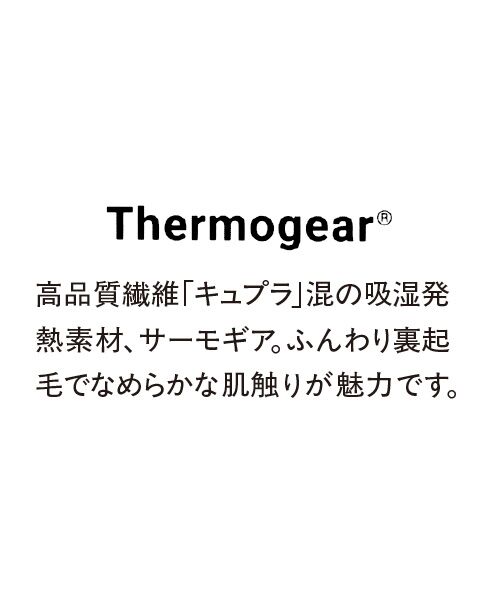 TAKASHIMAYA Style Plus / タカシマヤ スタイル・プリュ カットソー | サーモギア 裏起毛ボトルネックプルオーバー | 詳細3