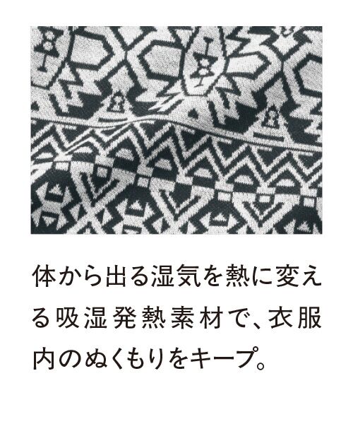 TAKASHIMAYA Style Plus / タカシマヤ スタイル・プリュ カットソー | キュプラ混 ジャカードプルオーバー | 詳細3