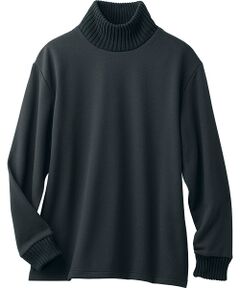 TAKASHIMAYA Style Plus / タカシマヤ スタイル・プリュ ニット・セーター | 裏起毛ハイネックプルオーバー