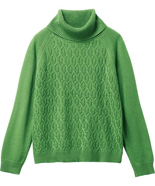 TAKASHIMAYA Style Plus / タカシマヤ スタイル・プリュ ニット・セーター | ウール入り タートルネックプルオーバー（グリーン）