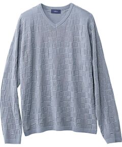 TAKASHIMAYA Style Plus / タカシマヤ スタイル・プリュ ニット・セーター | 麻混リンクス地柄 Vネックセーター