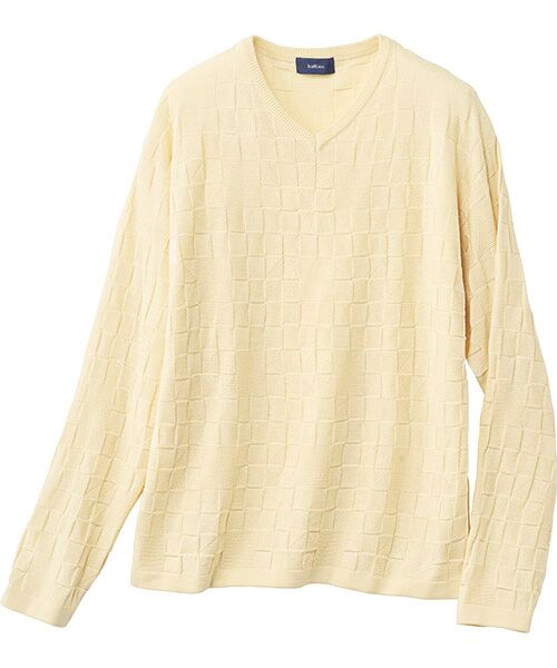 TAKASHIMAYA Style Plus / タカシマヤ スタイル・プリュ ニット・セーター | 麻混リンクス地柄 Vネックセーター（生成り）