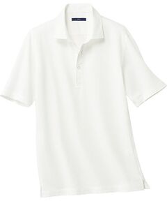 TAKASHIMAYA Style Plus / タカシマヤ スタイル・プリュ ポロシャツ | マイクロチェック 鹿の子台襟半袖ポロシャツ