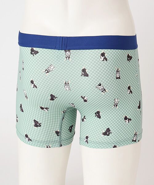 TAKEO KIKUCHI　Homewear & Underwear / タケオキクチ　ホームウエアアンドアンダーウエア ボクサーパンツ・ブリーフ | 前開きボクサーブリーフ | 詳細2