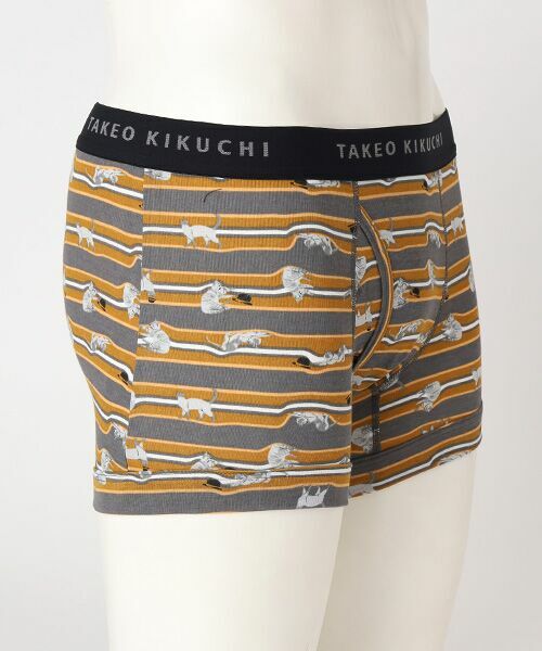 TAKEO KIKUCHI　Homewear & Underwear / タケオキクチ　ホームウエアアンドアンダーウエア ボクサーパンツ・ブリーフ | 前開きボクサーブリーフ | 詳細2
