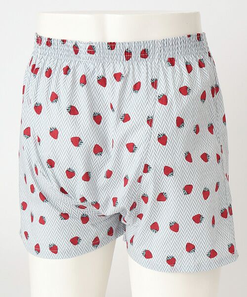 TAKEO KIKUCHI　Homewear & Underwear / タケオキクチ　ホームウエアアンドアンダーウエア トランクス | 前開き布帛トランクス | 詳細1