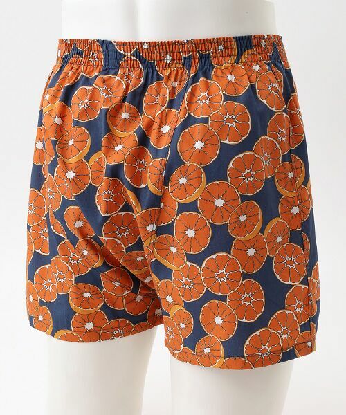 TAKEO KIKUCHI　Homewear & Underwear / タケオキクチ　ホームウエアアンドアンダーウエア トランクス | 前開き布帛トランクス | 詳細1