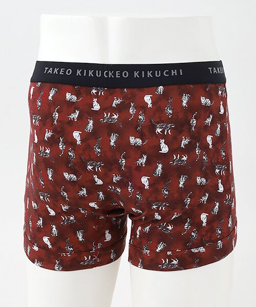 TAKEO KIKUCHI　Homewear & Underwear / タケオキクチ　ホームウエアアンドアンダーウエア ボクサーパンツ・ブリーフ | 前開きボクサーブリーフ | 詳細1