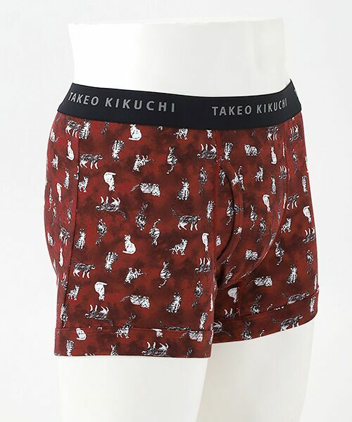 TAKEO KIKUCHI　Homewear & Underwear / タケオキクチ　ホームウエアアンドアンダーウエア ボクサーパンツ・ブリーフ | 前開きボクサーブリーフ | 詳細2