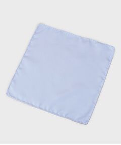 TAKEO KIKUCHI / タケオキクチ バンダナ・スカーフ | フォーマルチーフ