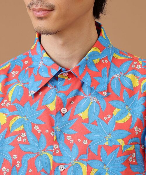 TAKEO KIKUCHI / タケオキクチ Tシャツ | レモンプリントシャツ | 詳細13