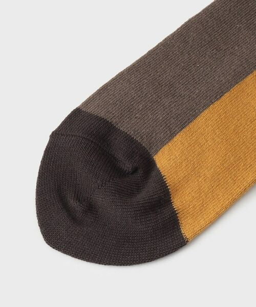 TAKEO KIKUCHI / タケオキクチ ソックス | カラーブロックソックス | 詳細2