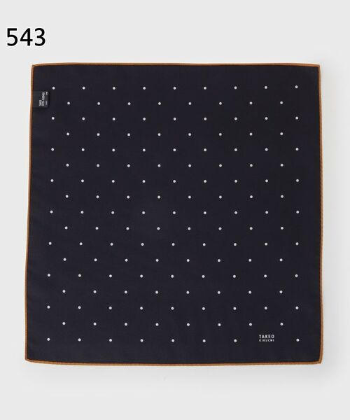 TAKEO KIKUCHI / タケオキクチ 服飾雑貨 | 【パーティーブライダル】リバーシブルシルクポケットチーフ | 詳細7