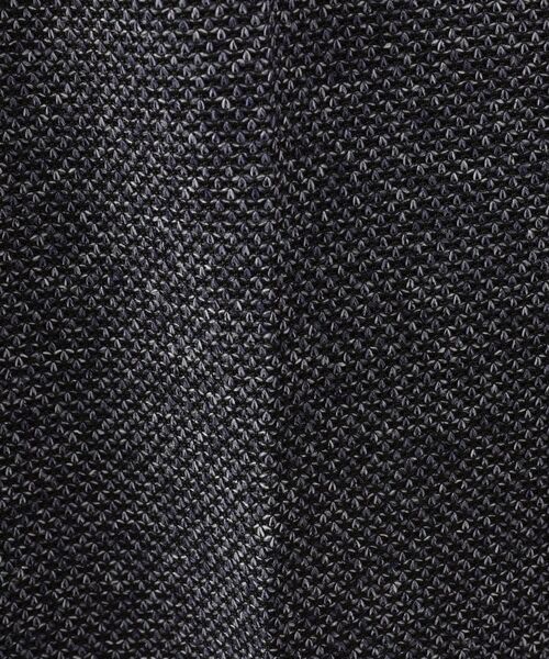 TAKEO KIKUCHI / タケオキクチ パンツ | 【抗菌防臭】尾州リネン ドビーメッシュ イージーパンツ | 詳細15