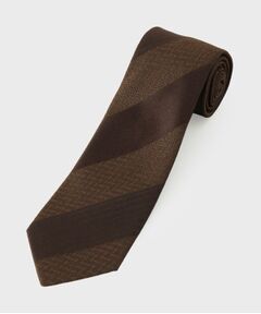 TAKEO KIKUCHI / タケオキクチ ネクタイ | エリシルクネクタイ