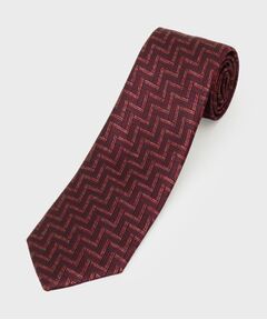 TAKEO KIKUCHI / タケオキクチ ネクタイ | エクストラシルクネクタイ