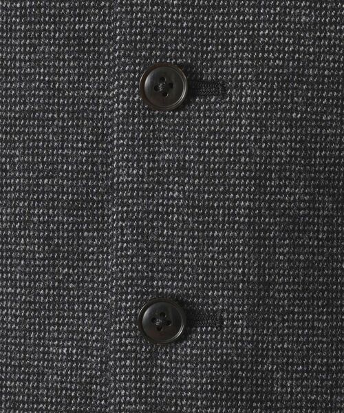 TAKEO KIKUCHI / タケオキクチ ベスト | 【Sサイズ～】ピンチェックミルドヴェスト | 詳細13