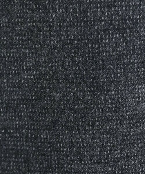 TAKEO KIKUCHI / タケオキクチ パンツ | 【Sサイズ～】尾州織 ピンヘッドムリネ パンツ | 詳細11