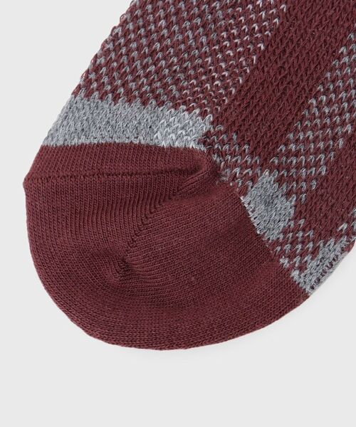 TAKEO KIKUCHI / タケオキクチ ソックス | タータンチェック柄ソックス | 詳細3