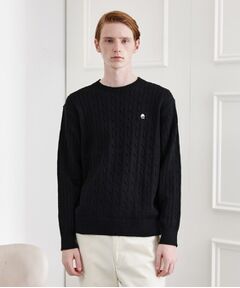 TAKEO KIKUCHI / タケオキクチ ニット・セーター | 【LIMITED】ワンポイント刺繍ケーブルニット