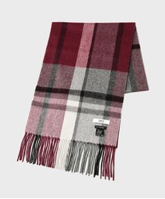 TAKEO KIKUCHI / タケオキクチ マフラー・ショール・スヌード・ストール | チェックカシミヤマフラー