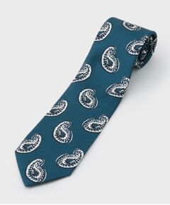 TAKEO KIKUCHI / タケオキクチ ネクタイ | ペイズリースタンプネクタイ