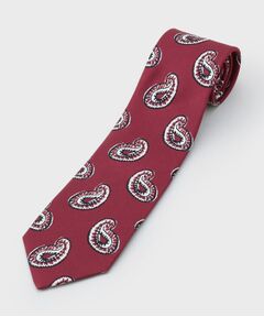 TAKEO KIKUCHI / タケオキクチ ネクタイ | ペイズリースタンプネクタイ