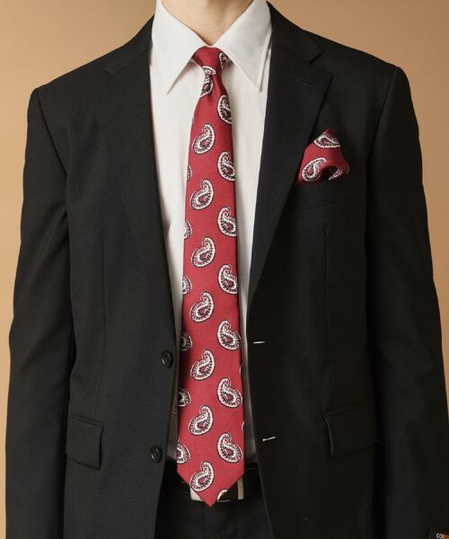 TAKEO KIKUCHI / タケオキクチ ネクタイ | ペイズリースタンプネクタイ | 詳細10