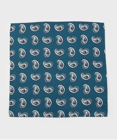 TAKEO KIKUCHI / タケオキクチ ハンカチ | ペイズリースタンプチーフ