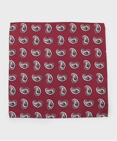 TAKEO KIKUCHI / タケオキクチ ハンカチ | ペイズリースタンプチーフ