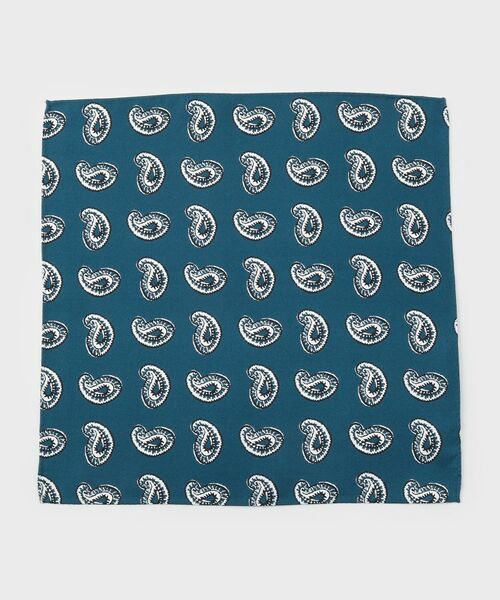 TAKEO KIKUCHI / タケオキクチ ハンカチ | ペイズリースタンプチーフ | 詳細1