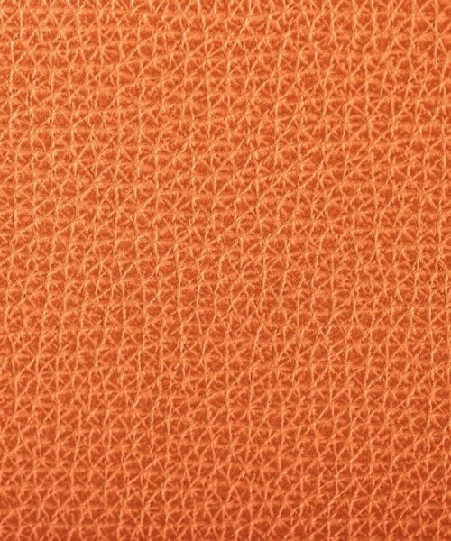 TAKEO KIKUCHI / タケオキクチ 財布・コインケース・マネークリップ | クラシコ2つ折り財布 | 詳細8