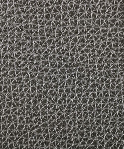 TAKEO KIKUCHI / タケオキクチ 服飾雑貨 | クラシコパスケース | 詳細6