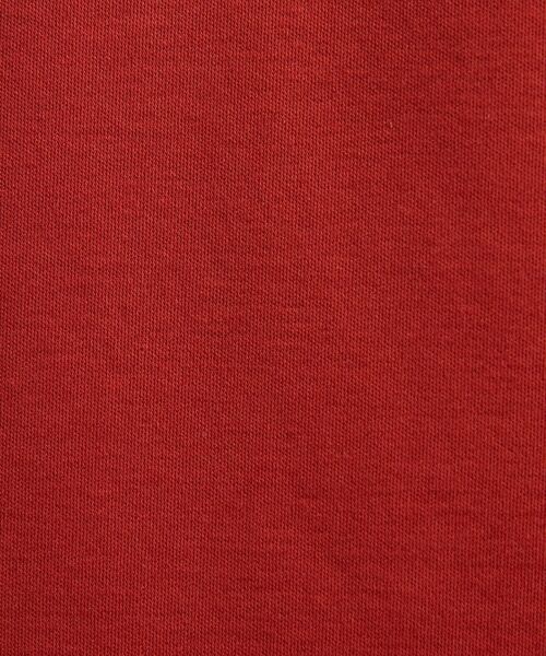 TAKEO KIKUCHI / タケオキクチ カットソー | アイスクリアコットン プルオーバー | 詳細22