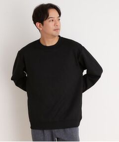 THE SHOP TK / ザ ショップ ティーケー スウェット | リンクススウェットプルオーバー