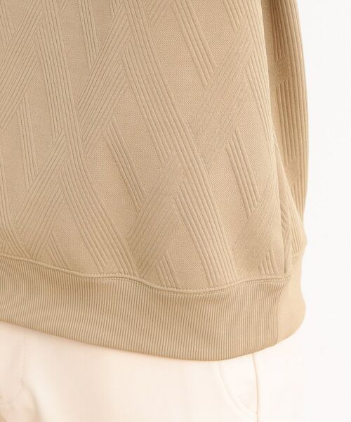 THE SHOP TK / ザ ショップ ティーケー スウェット | リンクススウェットプルオーバー | 詳細26