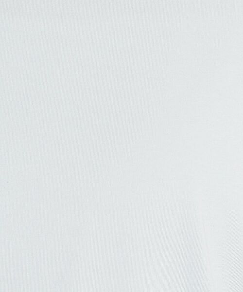 THE SHOP TK / ザ ショップ ティーケー Tシャツ | 袖シアーTシャツ【接触冷感/洗濯機OK】 | 詳細30