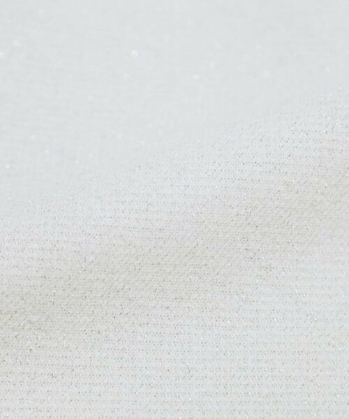 THE SHOP TK / ザ ショップ ティーケー ロング・マキシ丈スカート | 裏毛ラメスカート【洗える】 | 詳細4