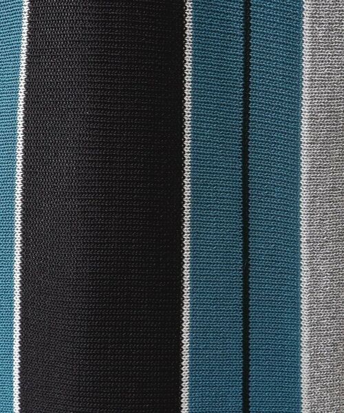 THE SHOP TK / ザ ショップ ティーケー ポロシャツ | 【日本テレビ系　ダメマネ！出演　鈴木仁さん着用】マルチストライプニットポロシャツ | 詳細19