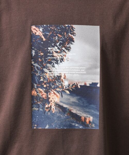THE SHOP TK / ザ ショップ ティーケー Tシャツ | 【旅するTシャツ】フォトプリント マシンウォッシャブル／サスティナブル | 詳細24